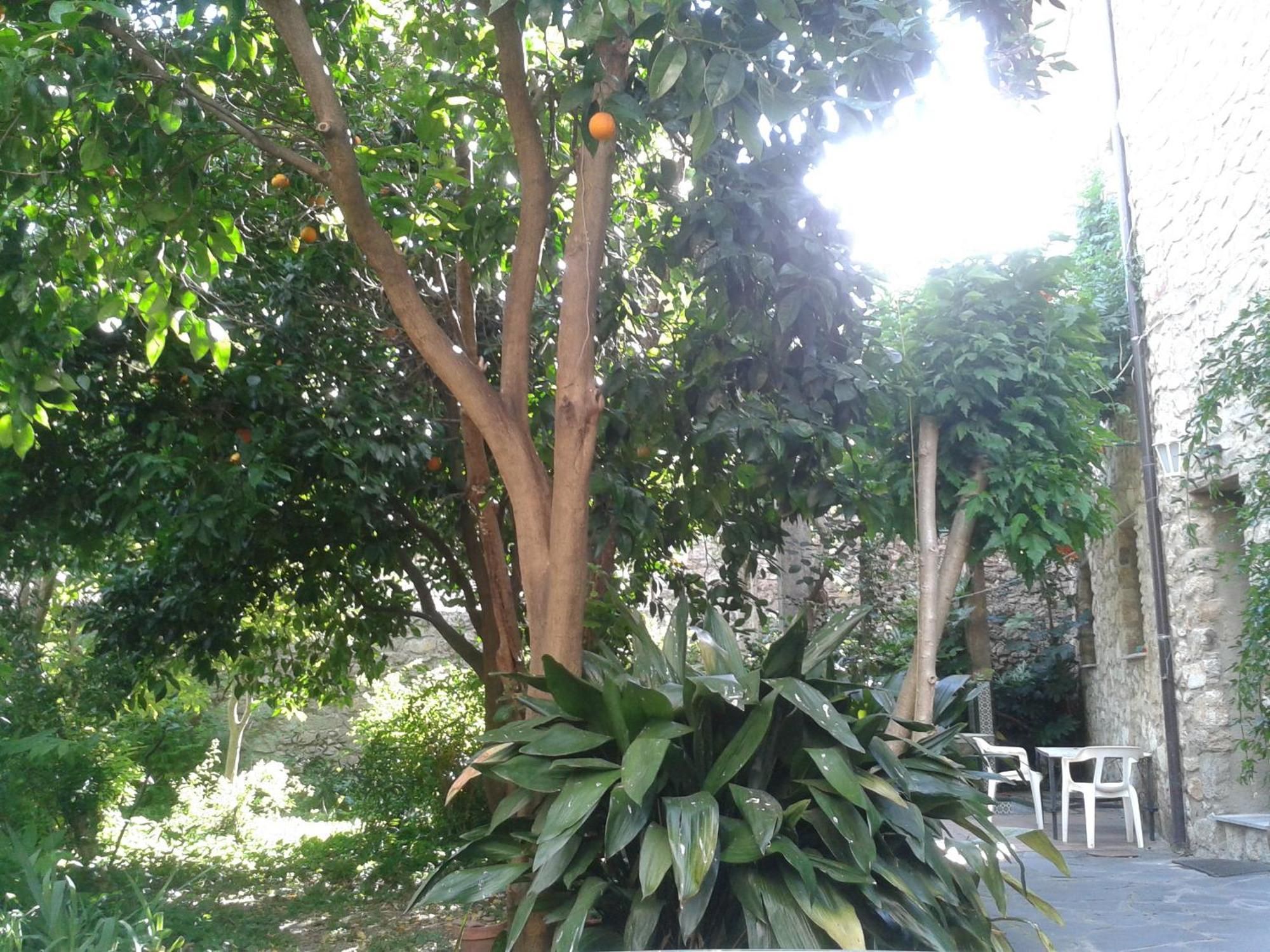Casa Rural Corvina Acebo Dış mekan fotoğraf
