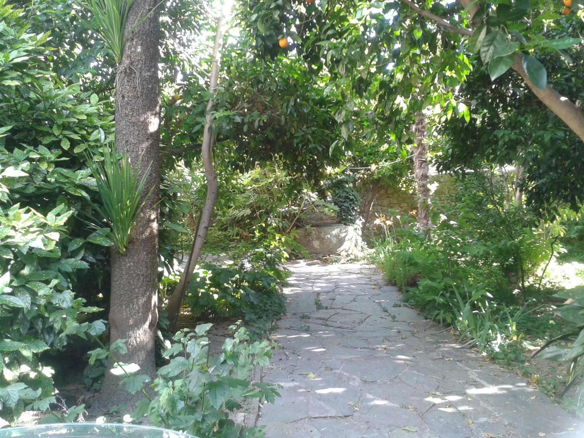 Casa Rural Corvina Acebo Dış mekan fotoğraf
